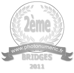 Comparatif bridges 2011 - www.photonumeric.fr